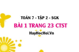 Bài 1 trang 23 Toán 7 Tập 2 Chân trời sáng tạo